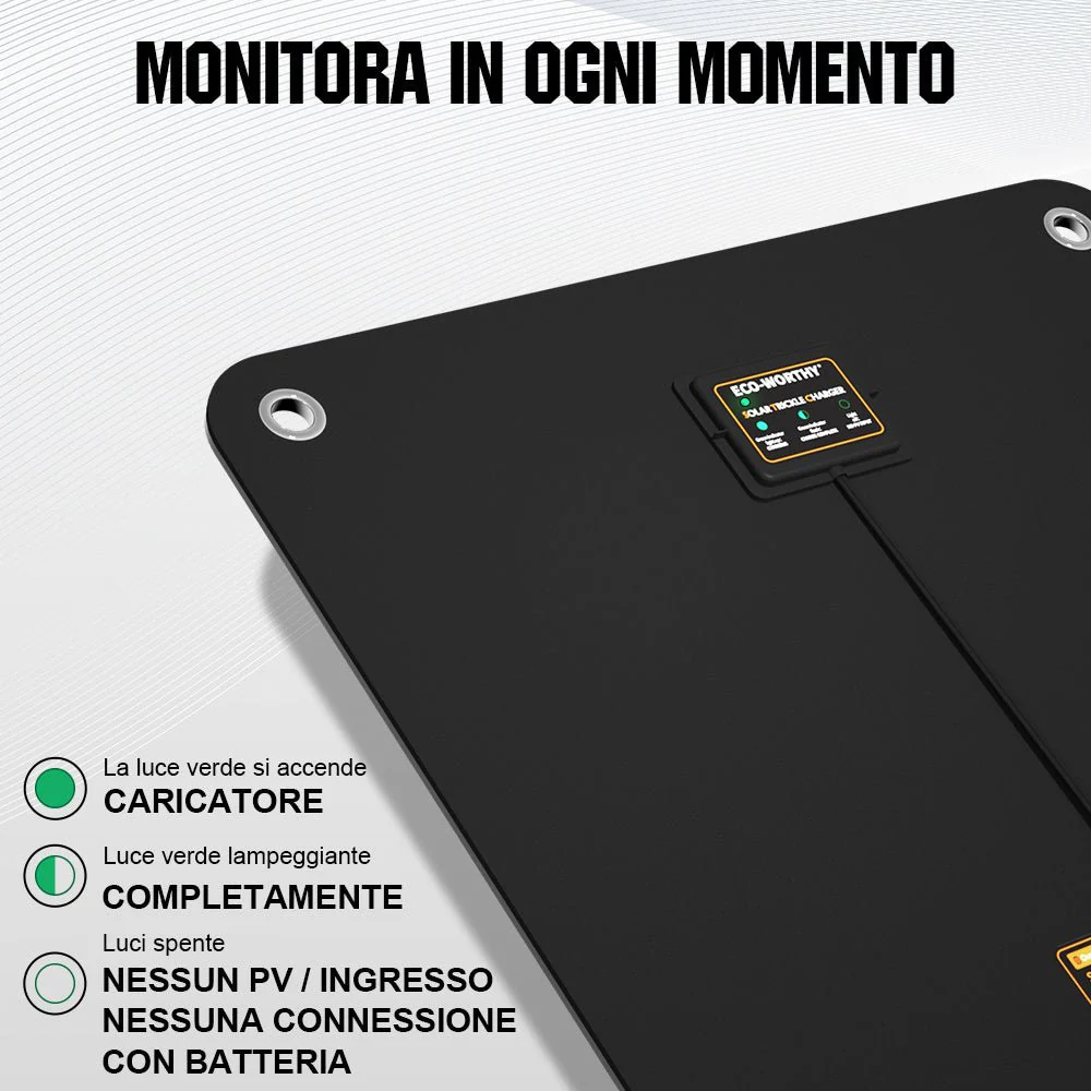 Miniatura 10