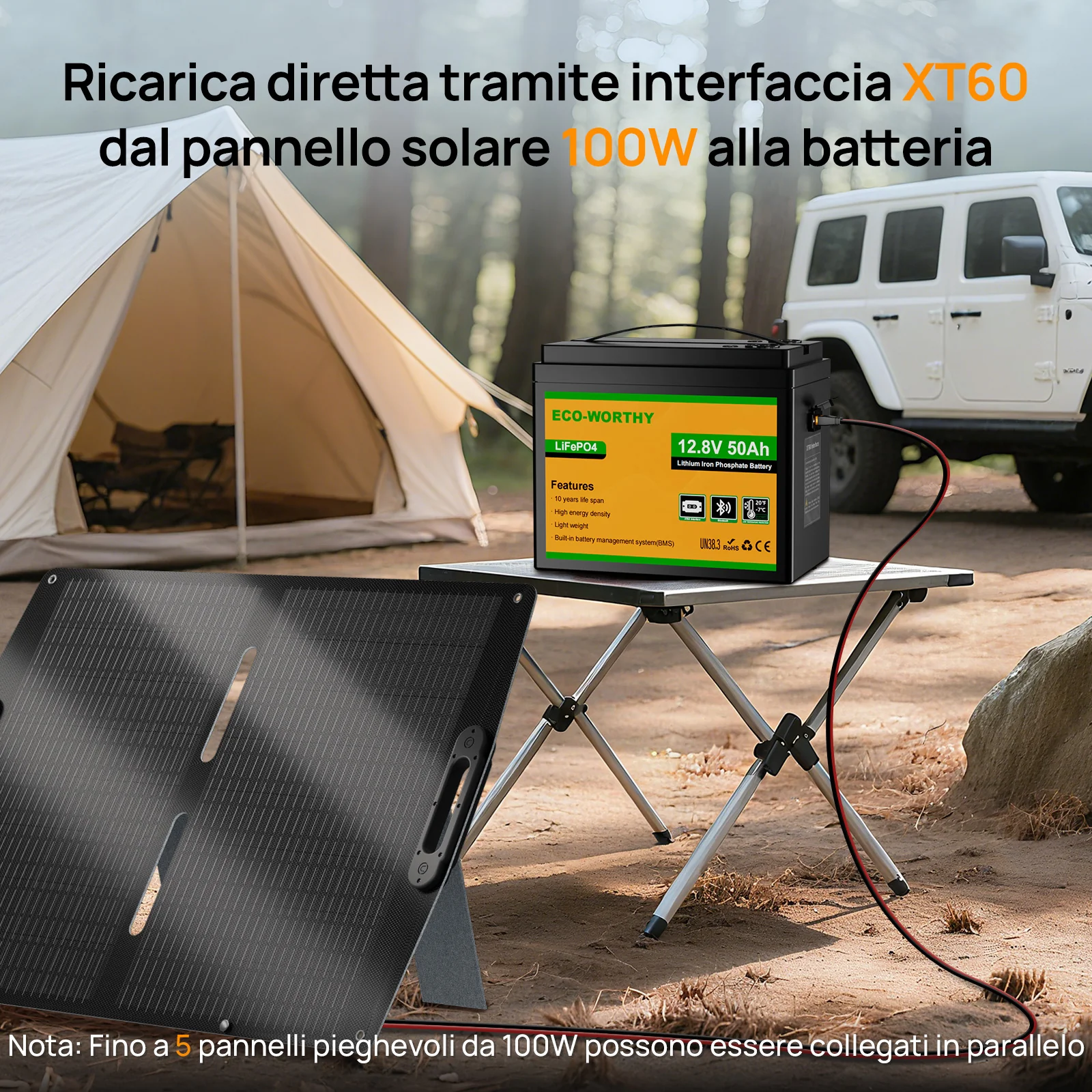 Miniatura 9
