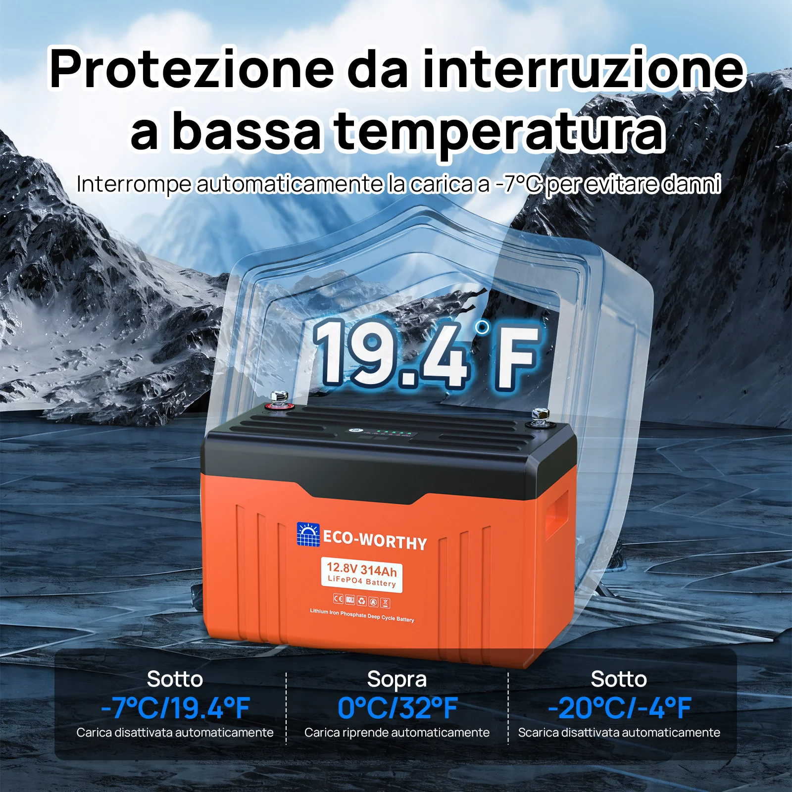 Miniatura 10