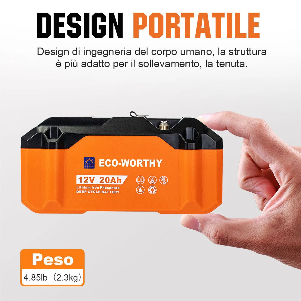 Miniatura 6