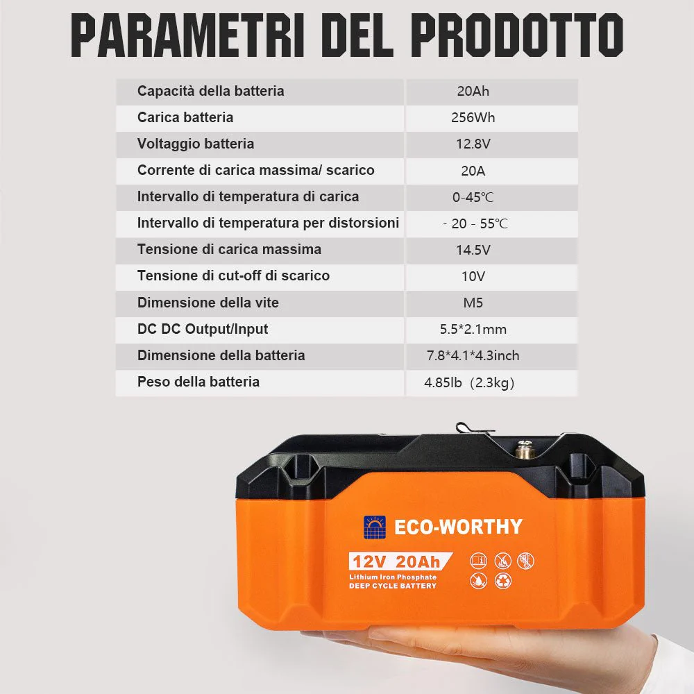 Miniatura 7