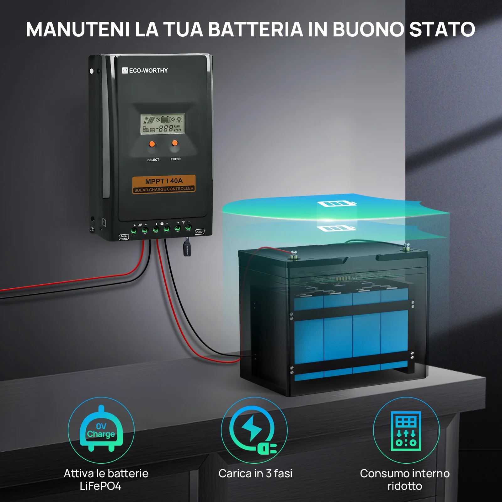 Miniatura 7